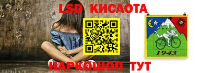 индика Ирбит