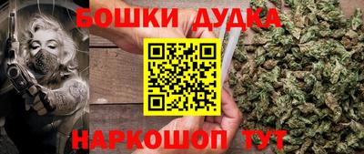 индика Ирбит