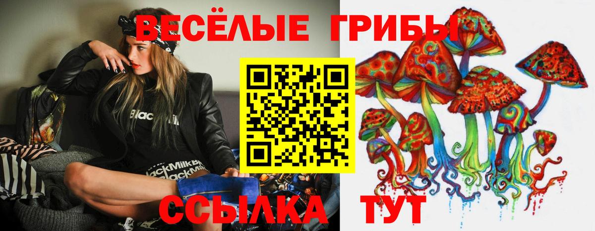 Псилоцибиновые грибы GOLDEN TEACHER  Вход с VPN  Краснознаменск 