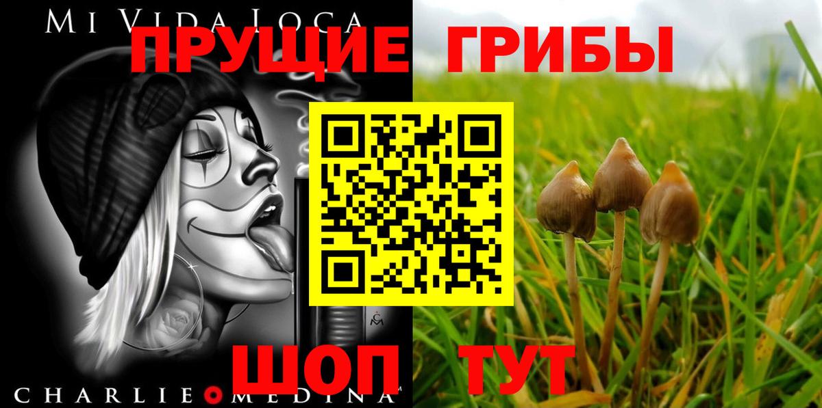 Псилоцибиновые грибы мухоморы Краснознаменск
